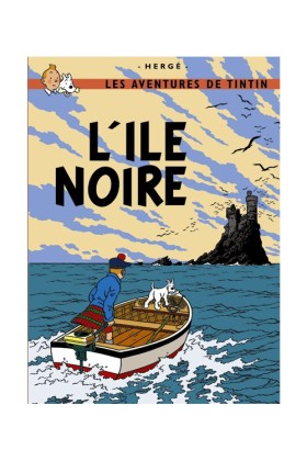 BOOK COVER POSTER - THE BLACK ISLAND